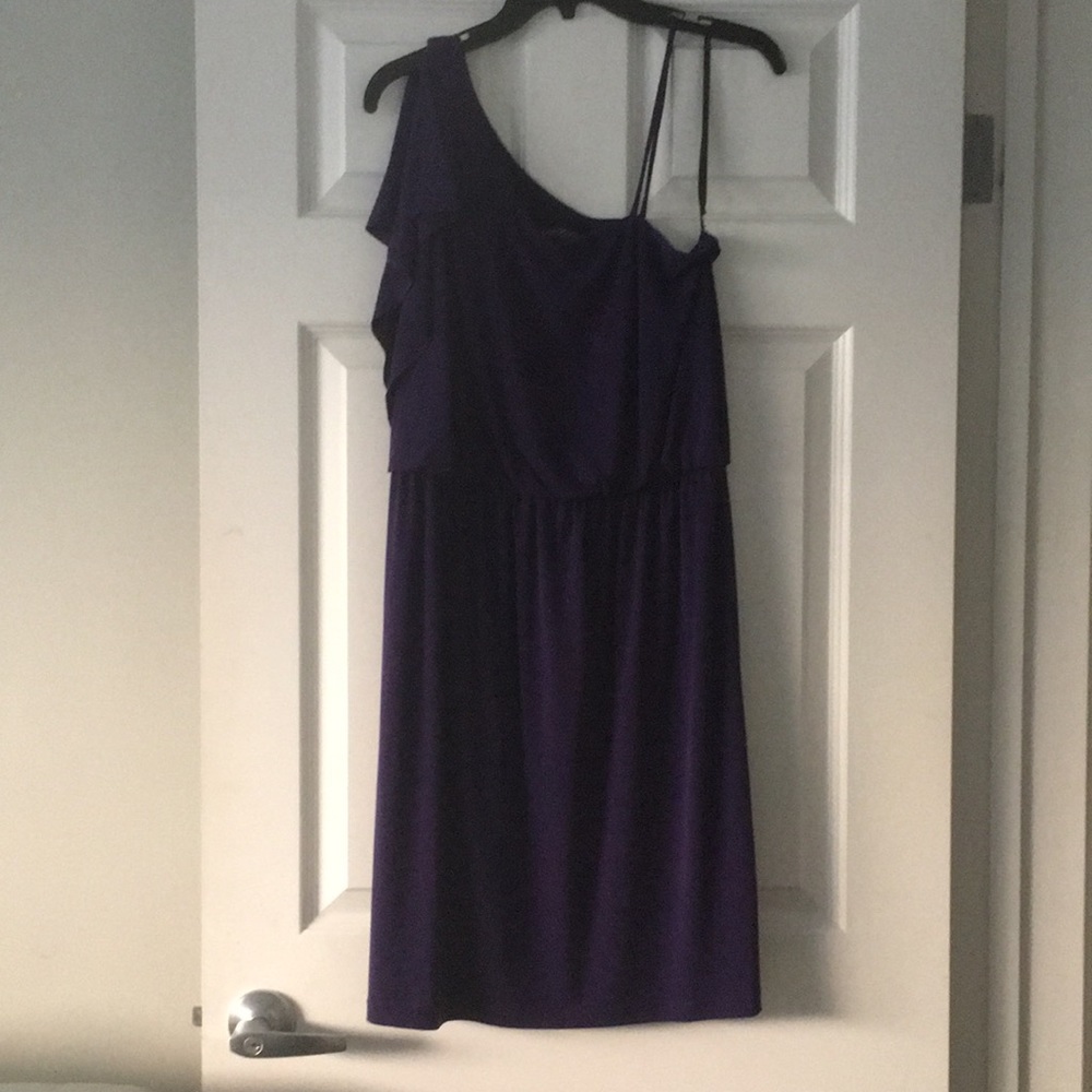 Purple Dress Size 14